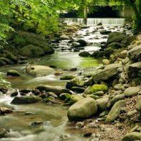 Brookside Resort by FairBridge
