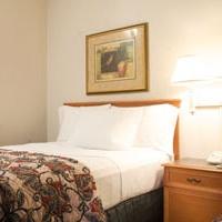 La Quinta Inn & Suites by Wyndham DFW Airport South / Irving