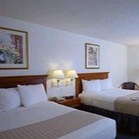 La Quinta Inn & Suites by Wyndham DFW Airport South / Irving
