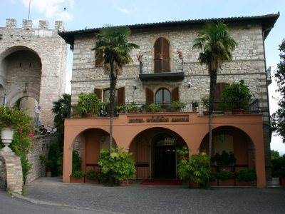 Windsor Savoia
