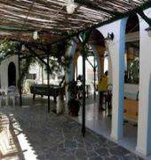 Pefkos Garden