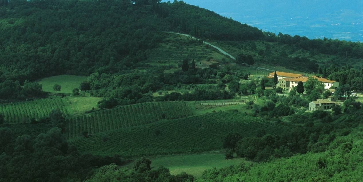Montelucci Country Resort & Agriturismo Di Charme