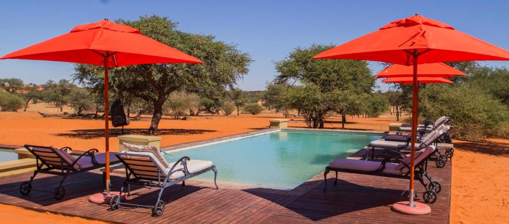 Zebra Kalahari Lodge