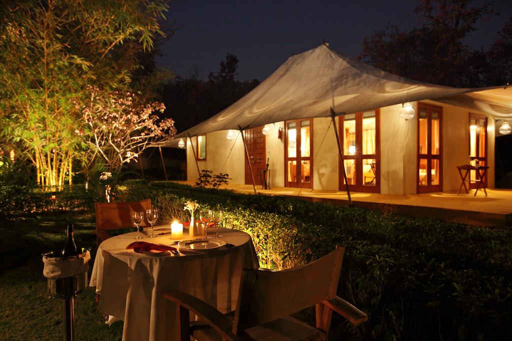 Tuli Tiger Resort