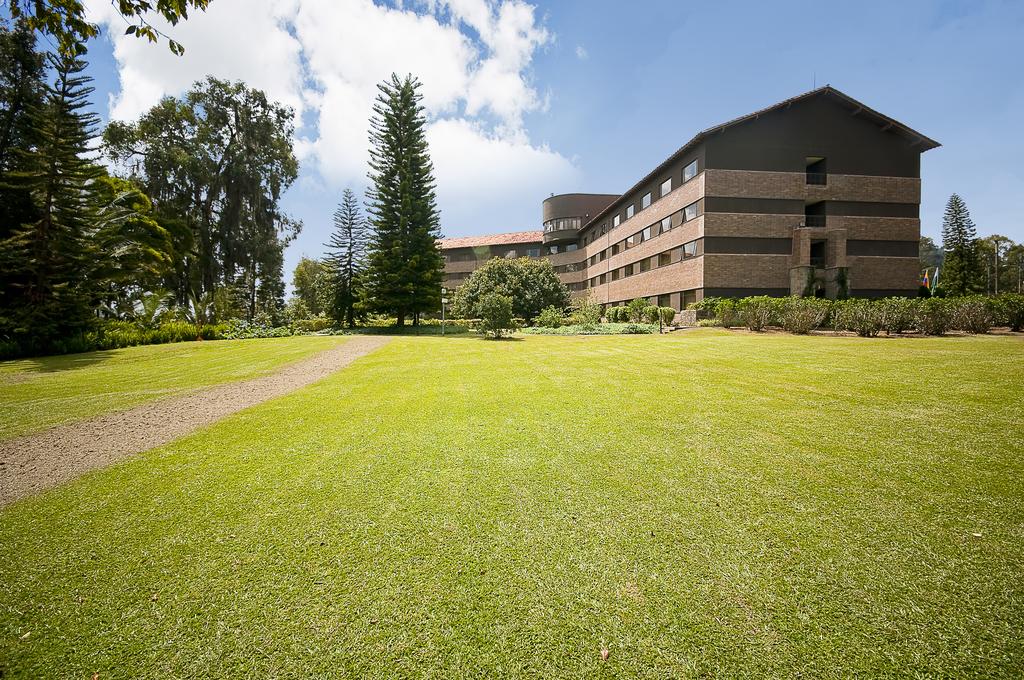 Movich Hotels Las Lomas