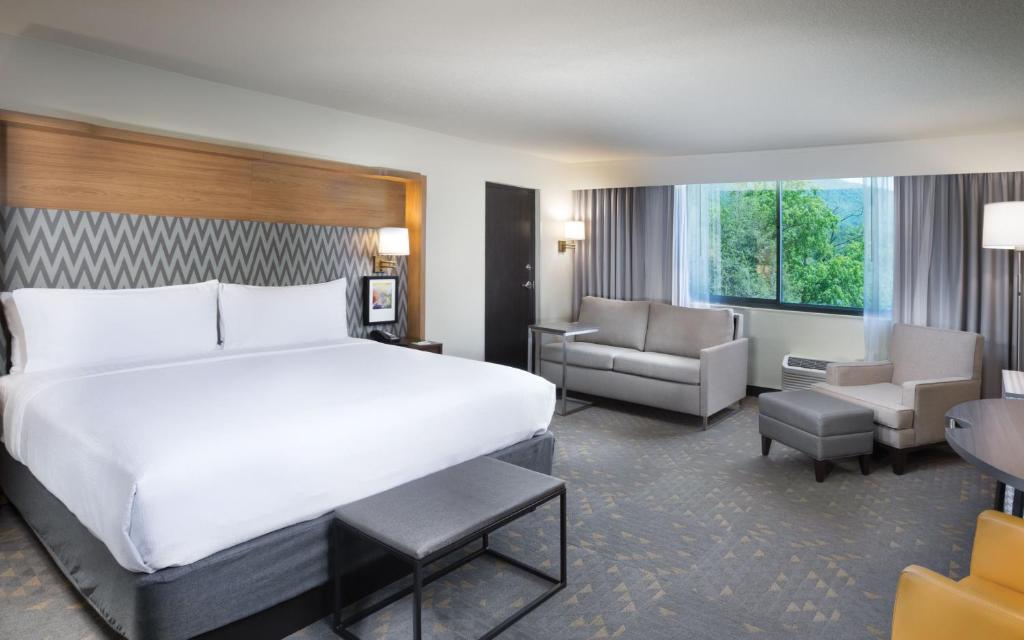 Holiday Inn Asheville-Biltmore East