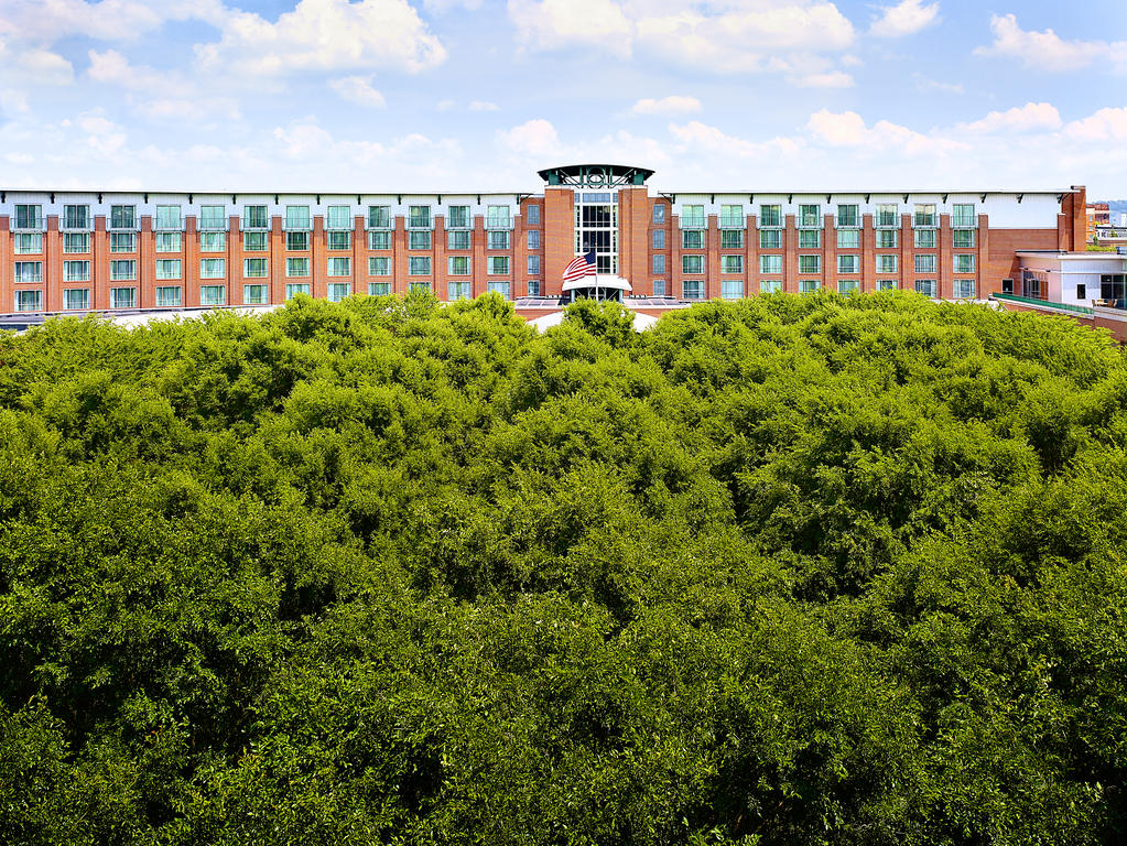 The Chattanoogan
