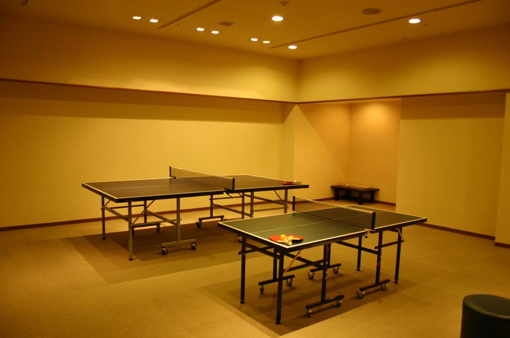 Hotel Wellseason Hamanako