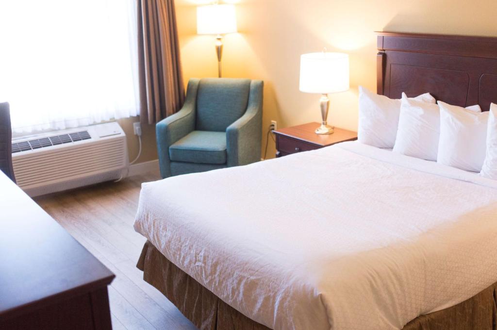 Best Western Plus Fredericton Hotel & Suites