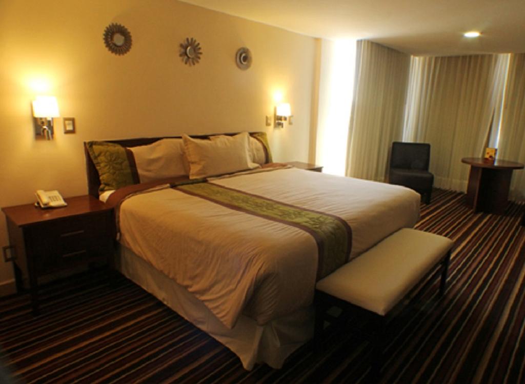 Hotel Real Plaza Aguascalientes