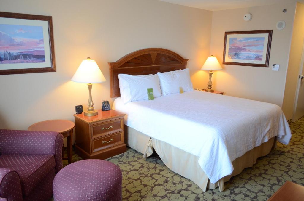 Hilton Garden Inn Houston Westbelt
