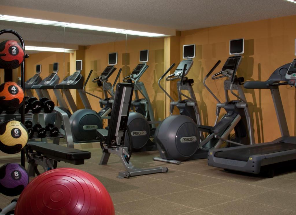 Hilton Tampa Airport Westshore