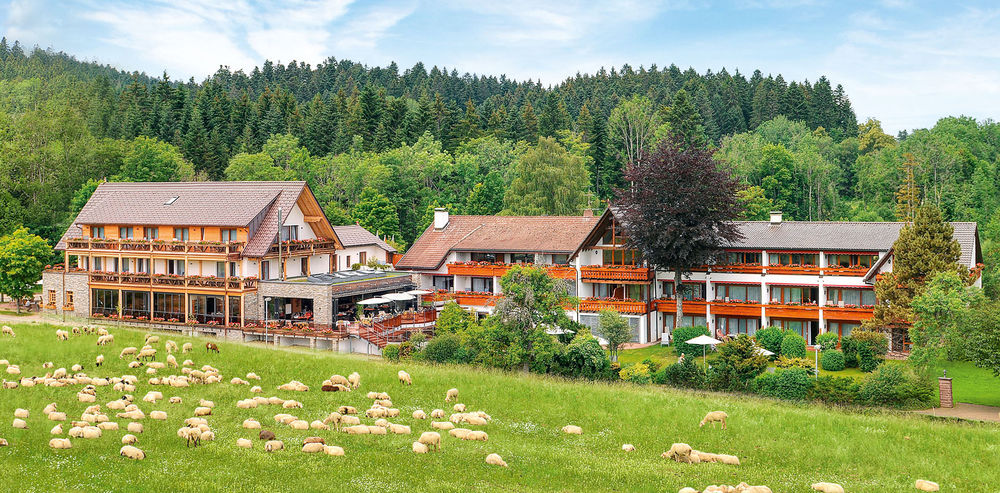 mD-Hotel Gruener Wald