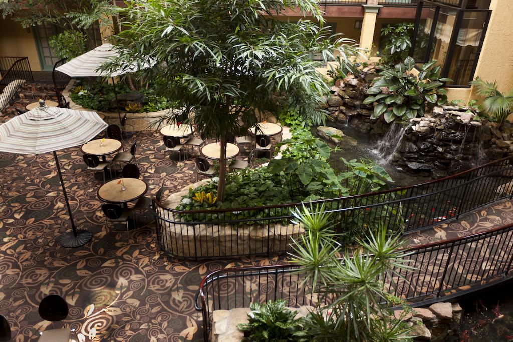Embassy Suites Lubbock