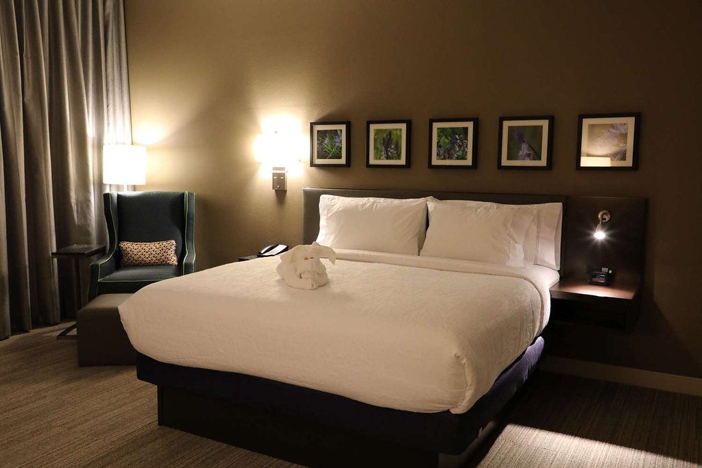Hilton Garden Inn Austin Airport