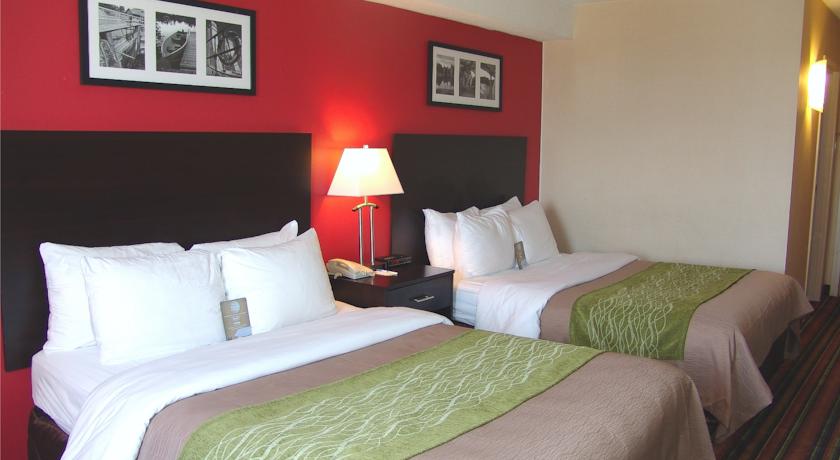 Comfort Hotel & Suites