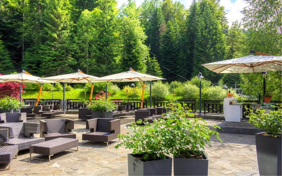 Lux Garden