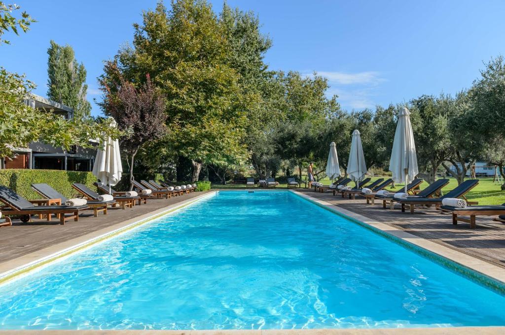 Alexander Beach hotel & Spa