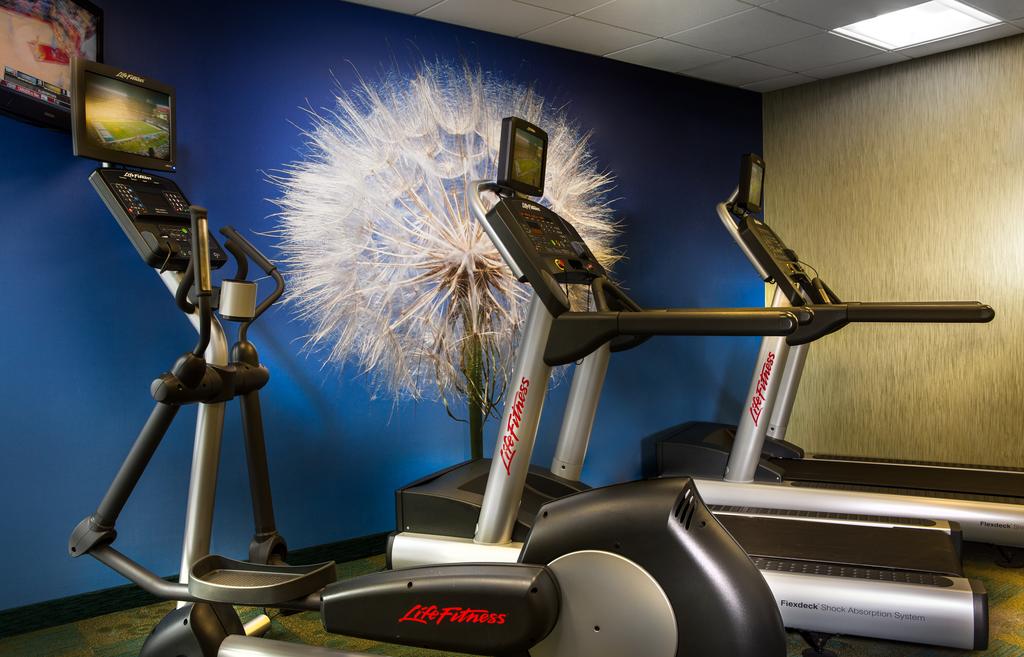 SpringHill Suites by Marriott Dallas DFW Airport N/Grapevine