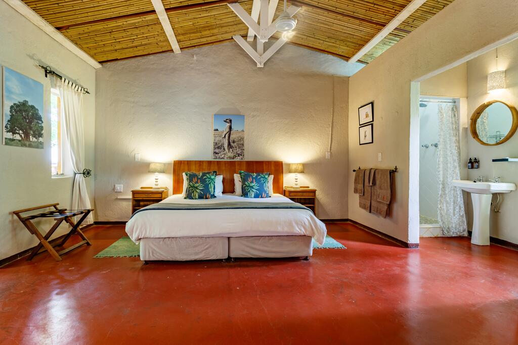 Gecko Lodge