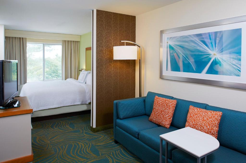 Springhill Suites By Marriott Atlanta Six Flags