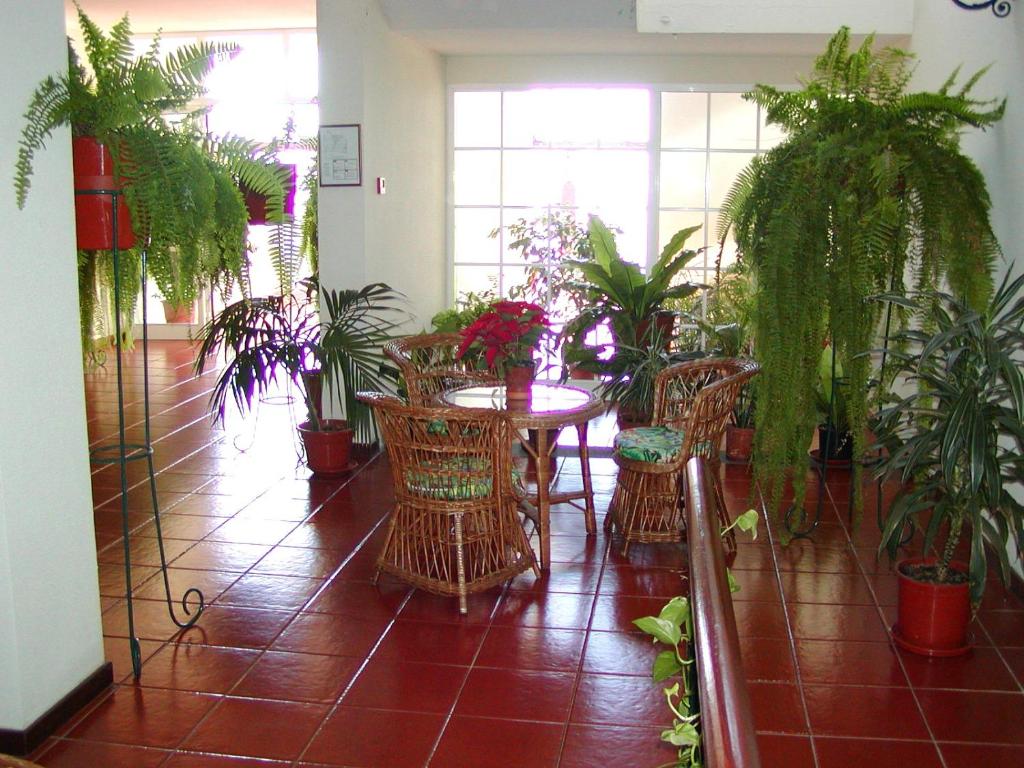 Vila Marta
