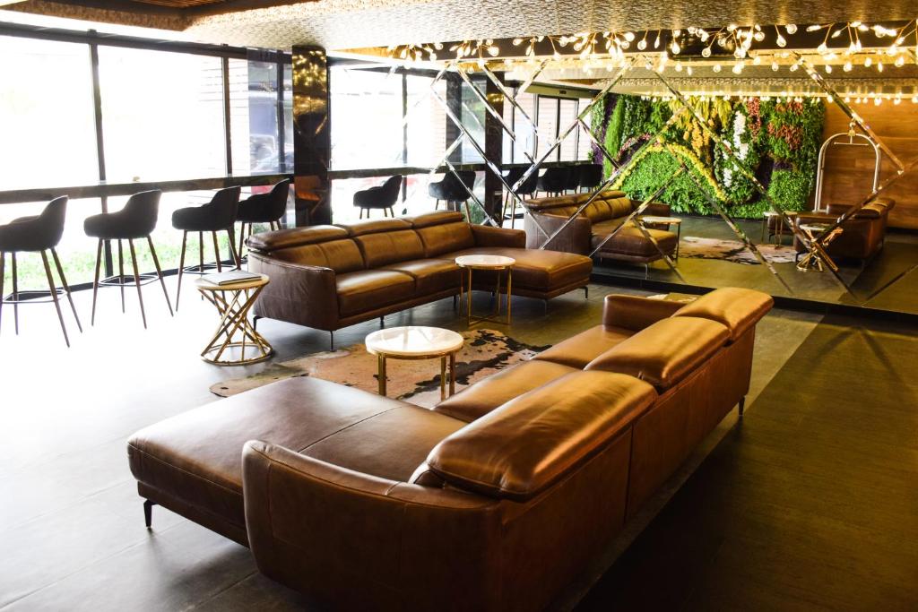 TRYP by Wyndham Santa Cruz