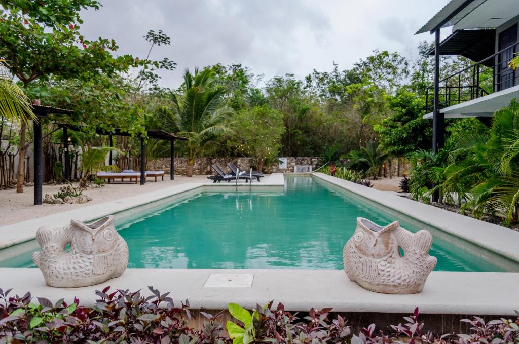 Hotel Barro Negro