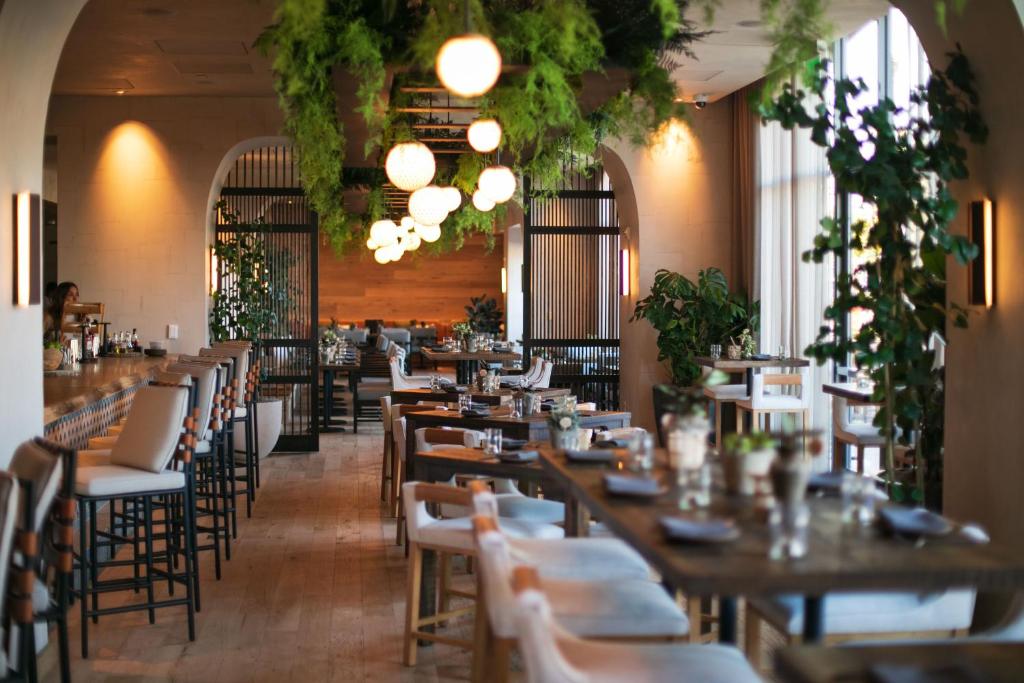 1 Hotel San Francisco (Formerly Vitale)