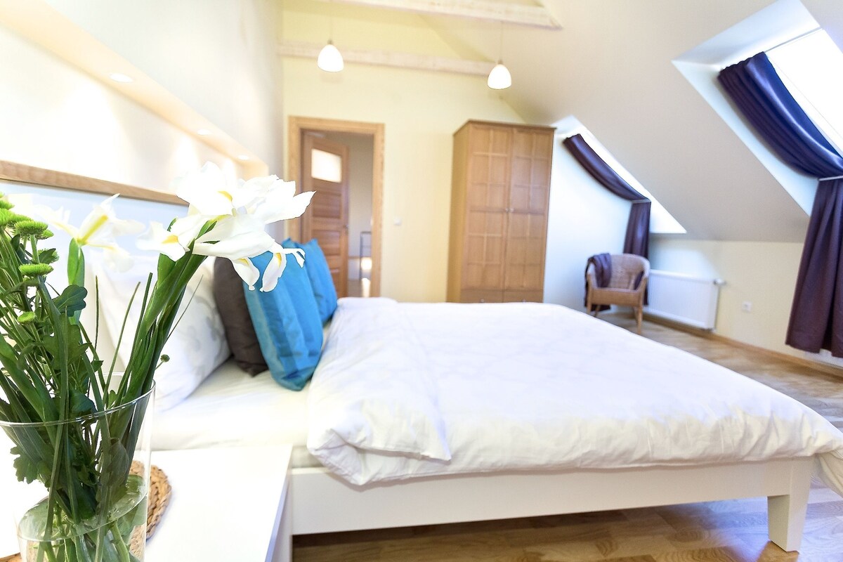 Vilnius Apartments & Suites Old Town