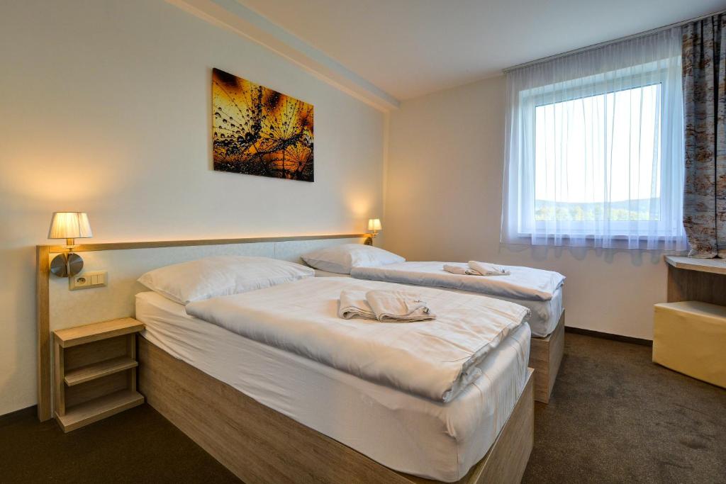 Hotel Star Lipno