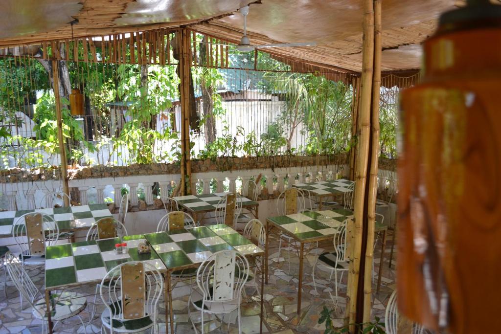 Pacot Breeze