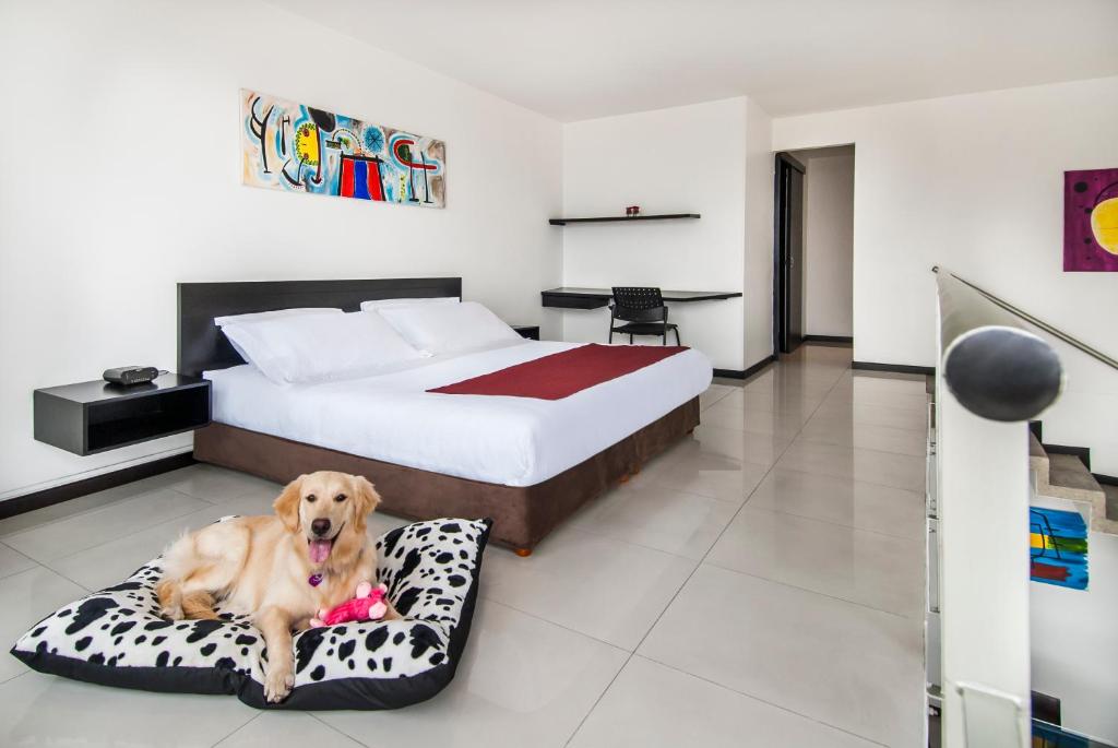 Travelers Apartamentos & Suites Orange Medellin