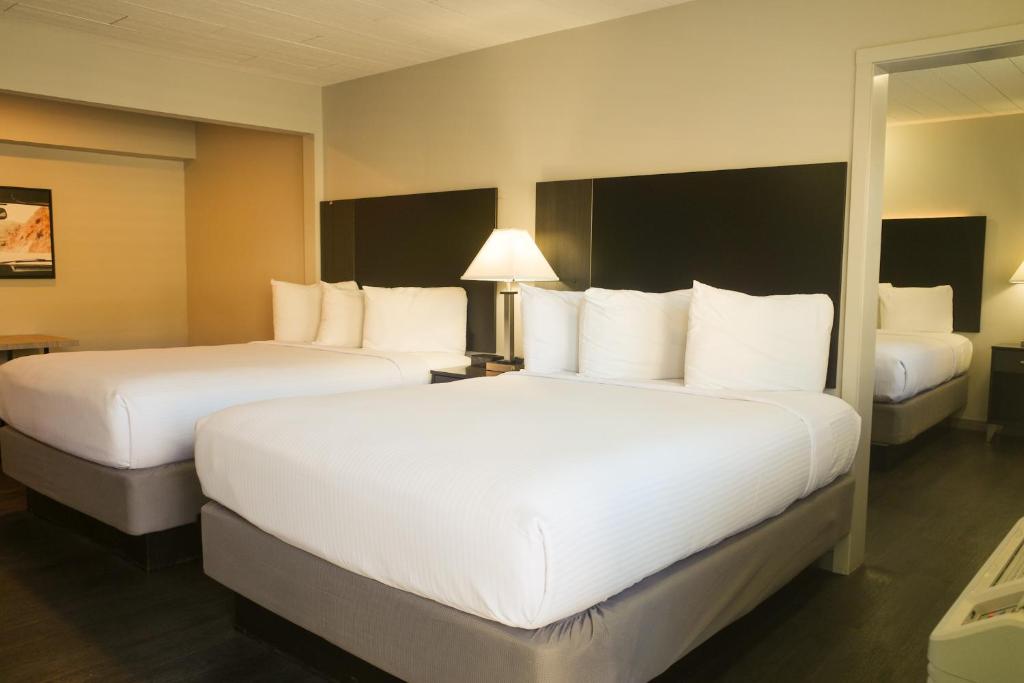 Americana Modern Hotel