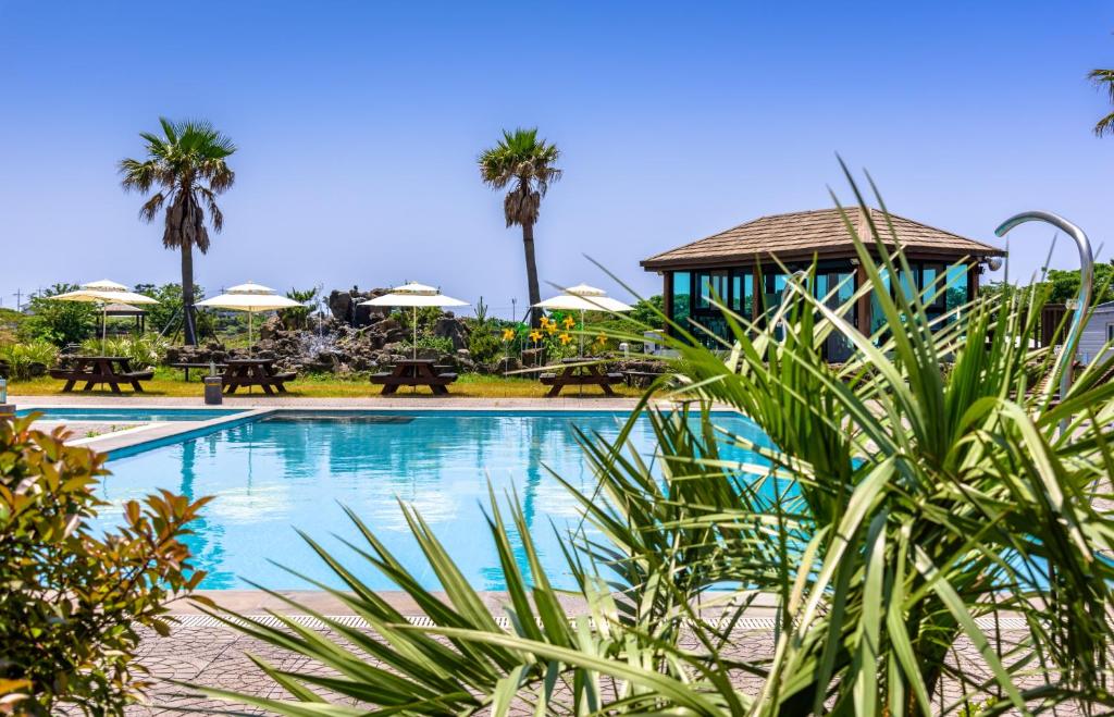 Eco Green Resort