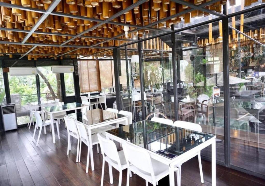 Bangkok Tree House