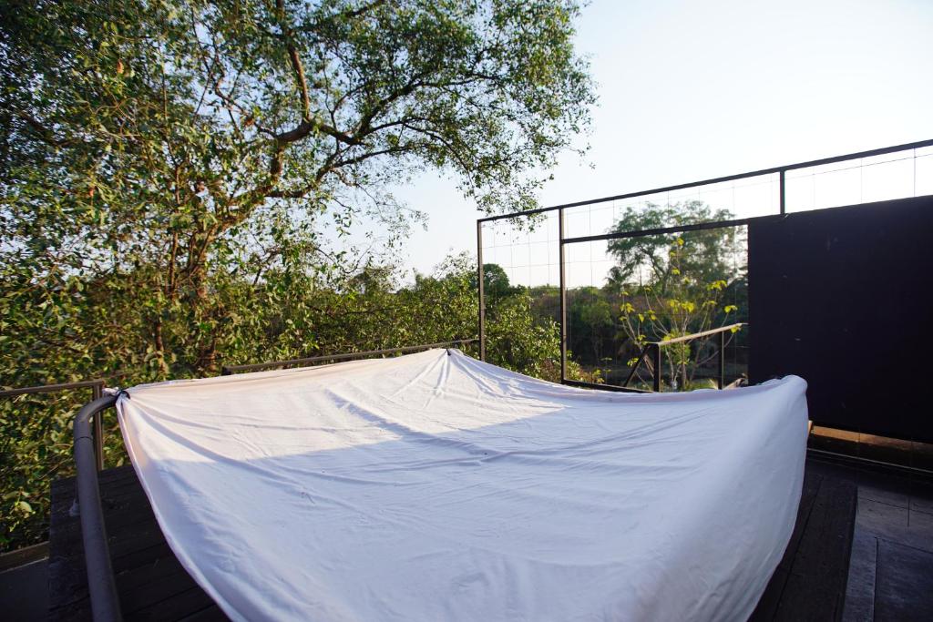 Bangkok Tree House