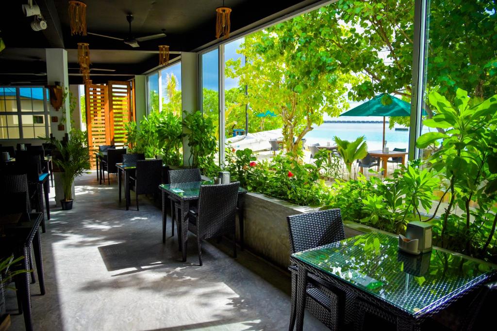 Rashu Hiyaa Guesthouse