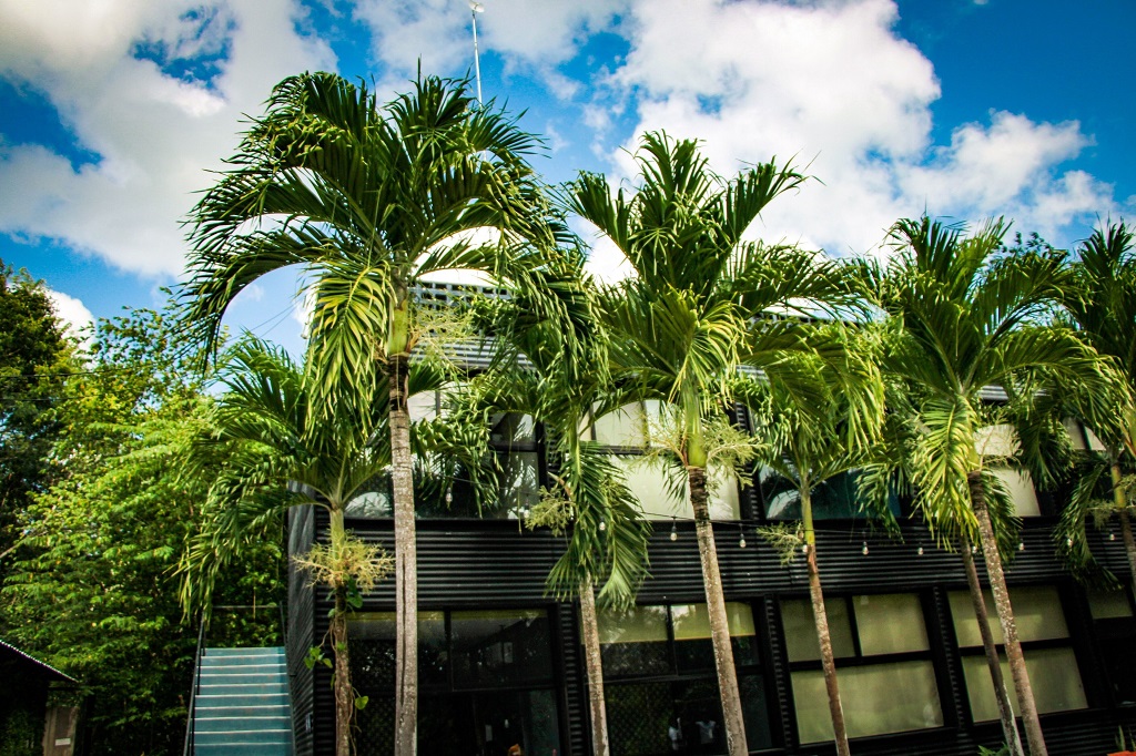 Hotel Urban Bacalar by Mij