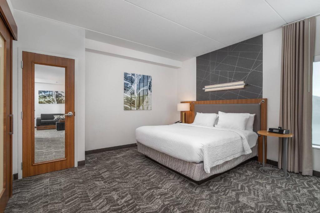 SpringHill Suites by Marriott Chattanooga Downtown/Cameron Harbor