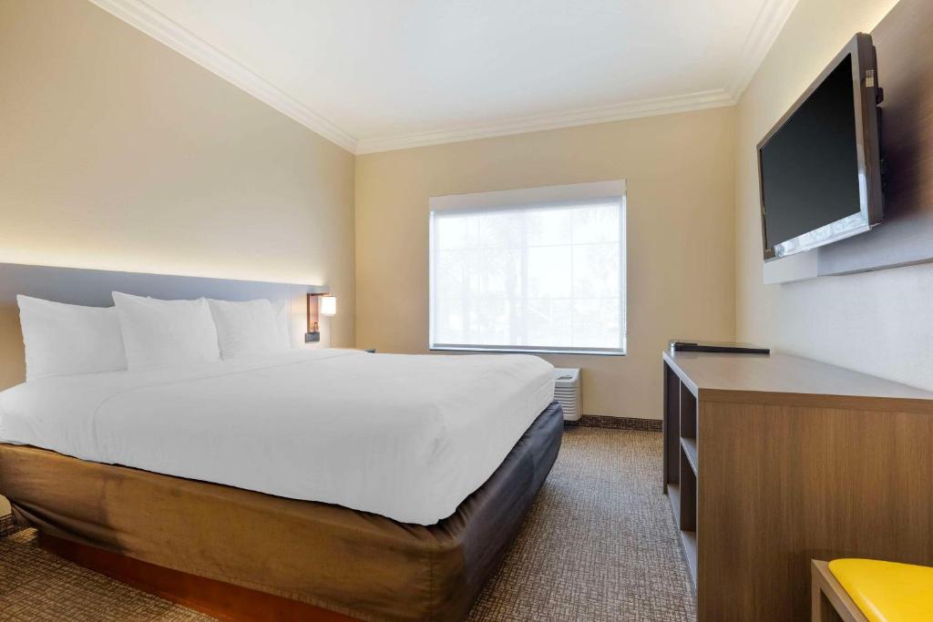 Comfort Suites Oceanside Camp Pendleton Area