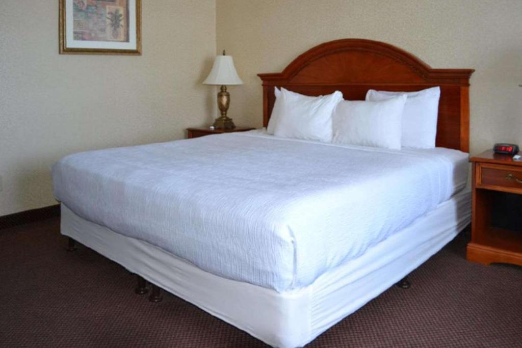 LE RITZ HOTEL & SUITES