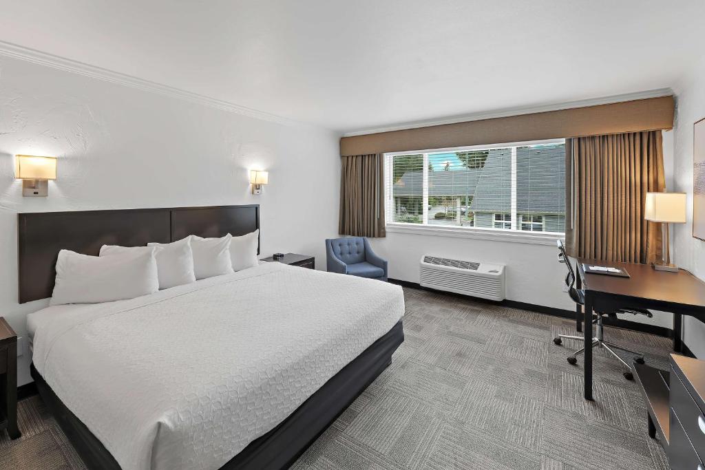 Best Western Plus Wesley Inn & Suites
