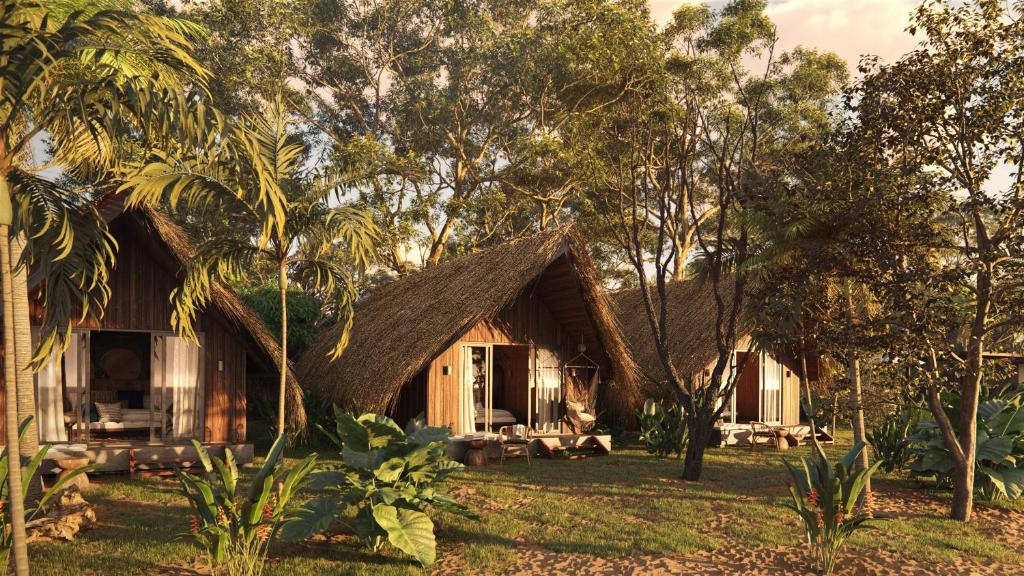 Our Habitas Santa Teresa