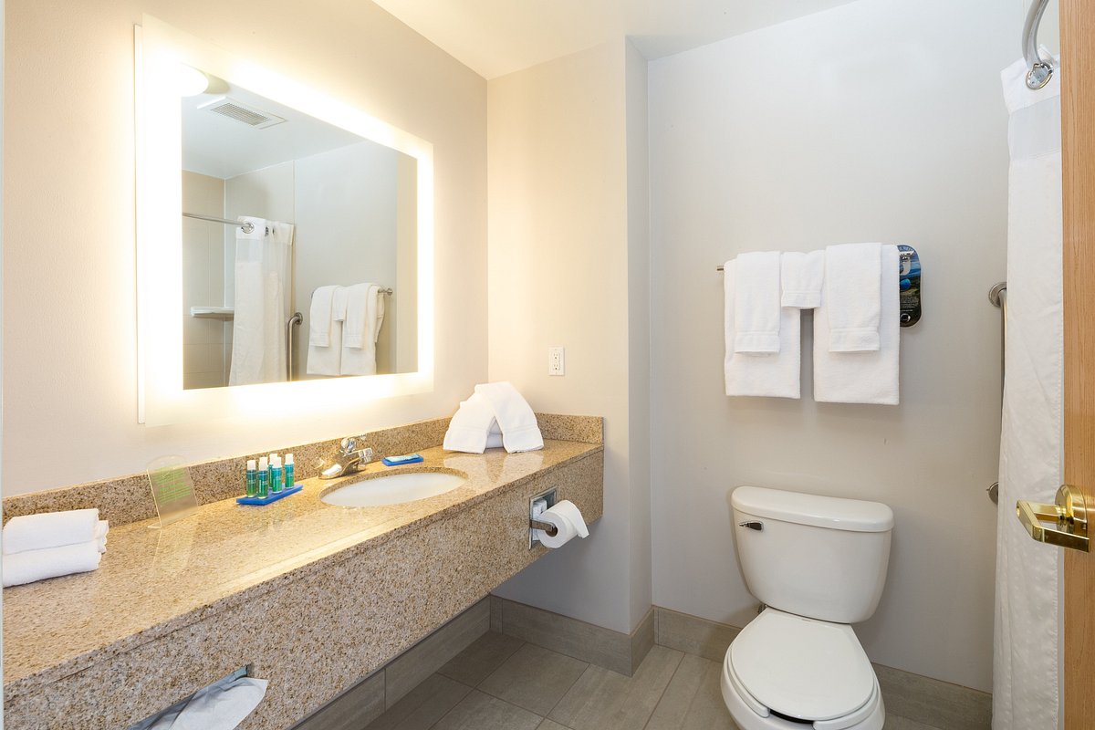 Holiday Inn DETROIT - UTICA