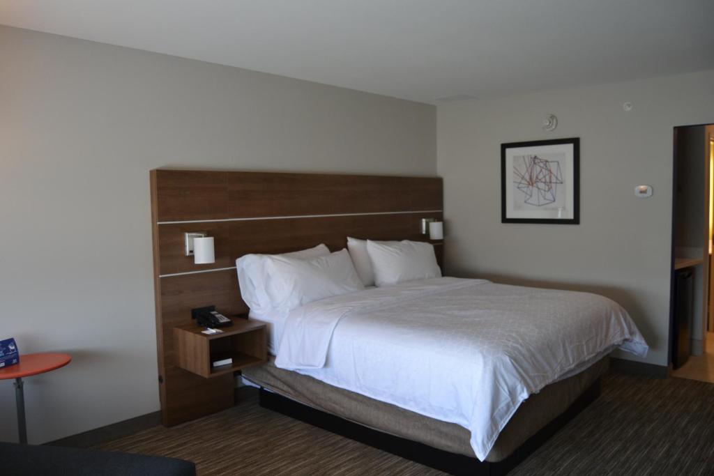 HOLIDAY INN EXPRESS AND SUITES GOODLETTSVILLE N NASHVILLE AN IHG HOTEL