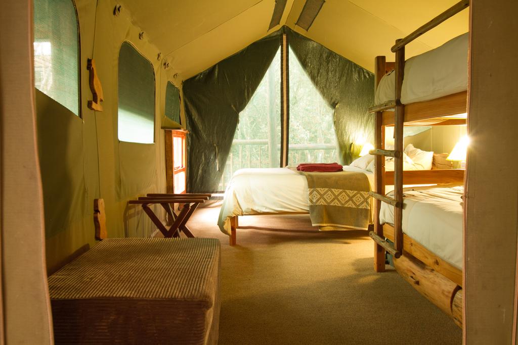 Teniqua Treetops Tented Treehouse Resort