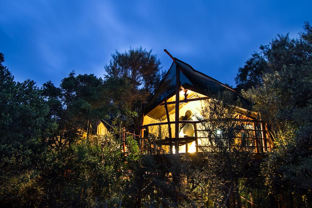 Teniqua Treetops Tented Treehouse Resort