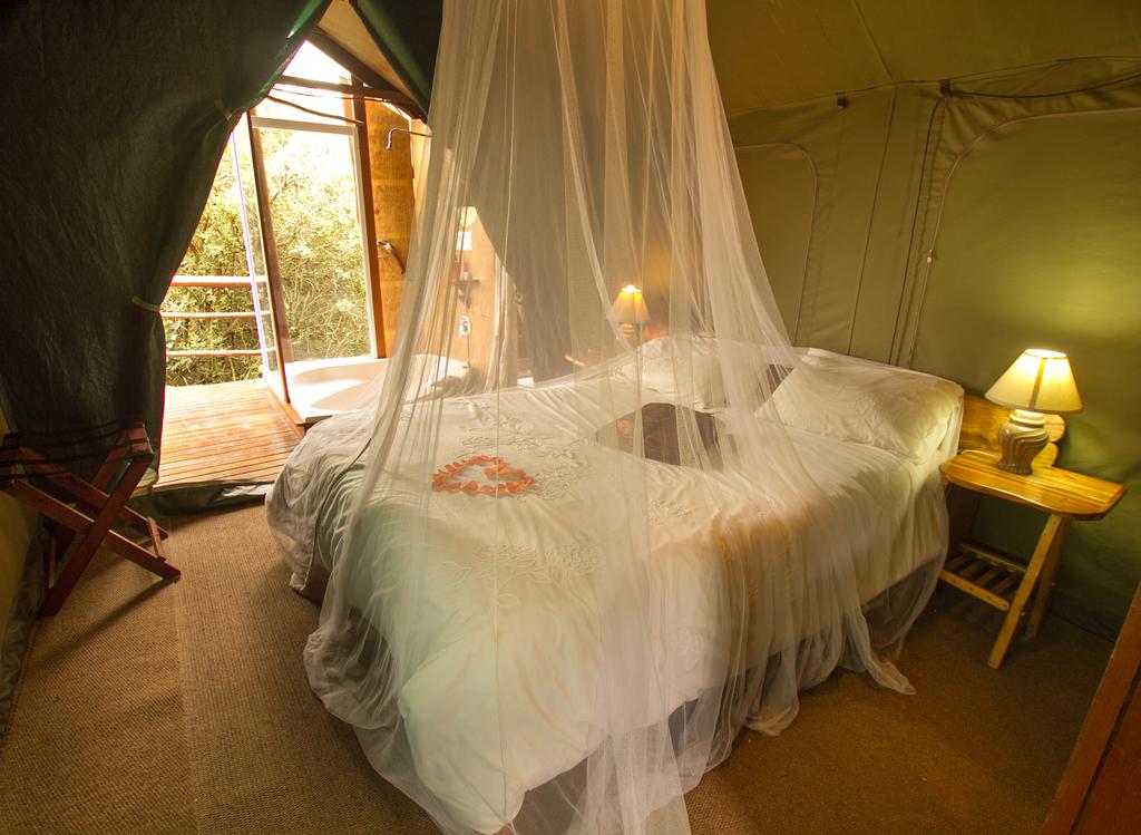 Teniqua Treetops Tented Treehouse Resort
