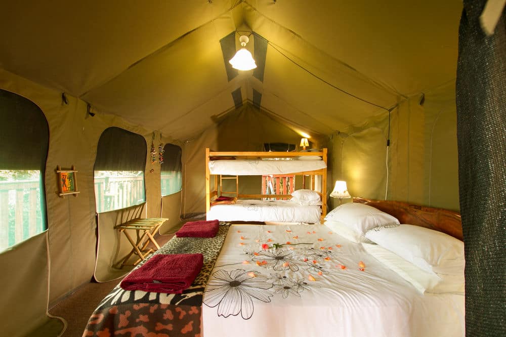 Teniqua Treetops Tented Treehouse Resort